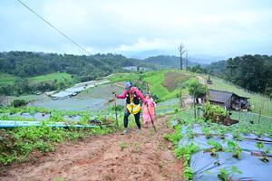 BIB: 1310
                            <button type="button" onclick="openModal(13378495)" class="btn btn-primary btn-sm float-right btn-popup" data-toggle="modal" data-target=".modal-high-quality">
                        <i class="fas fa-shopping-cart"></i> Add to Cart
                    </button>
                                            <button type="button" onclick="isThisMe(13378495, true)" class="btn btn-success btn-sm float-right btn-popup btn-isme hidden" data-toggle="tooltip" data-placement="bottom" title="นี่คือรูปของคุณใช่ไหม คลิกที่นี่เพื่อเอาเข้าอัลบั้ม">
                        <i class="fas fa-plus"></i> Add to album
                    </button>
                    <button type="button" onclick="isThisMe(13378495, false)" class="btn btn-warning btn-sm float-right btn-popup btn-isnotme hidden">
                        <i class="fas fa-ban"></i> Remove from album
                    </button>